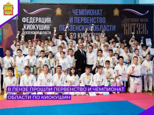 В Пензенской области лаишевские спортсмены завоевали пять медалей на соревнованиях по киокушин