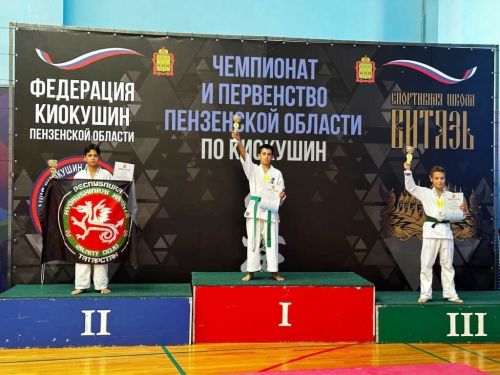 В Пензенской области лаишевские спортсмены завоевали пять медалей на соревнованиях по киокушин