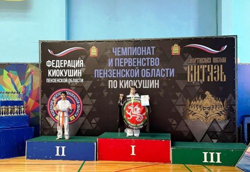 В Пензенской области лаишевские спортсмены завоевали пять медалей на соревнованиях по киокушин