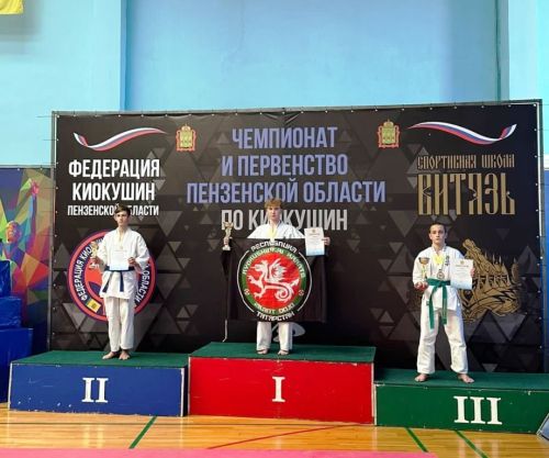 В Пензенской области лаишевские спортсмены завоевали пять медалей на соревнованиях по киокушин