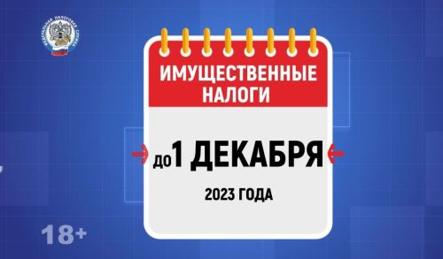 Заплатите имущественные налоги до 1 декабря