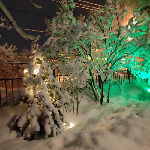 Новогодняя снежная фантазия показана в фотоработах Владимира Андреева