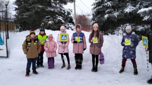 Активисты Нармонской школы агитируют за фликеры