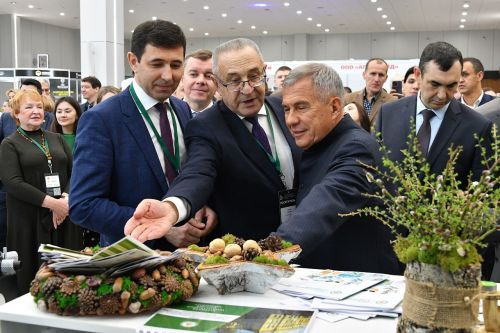 В Лаишевском районе проходит выставка «ТатАгроЭкспо-2024»