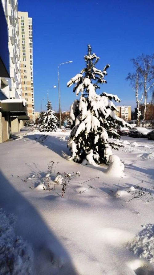 Читатели продолжают делиться фотографиями первых дней нового, 2024 года