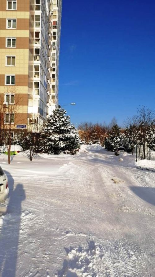 Читатели продолжают делиться фотографиями первых дней нового, 2024 года
