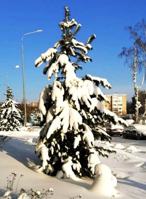 Читатели продолжают делиться фотографиями первых дней нового, 2024 года