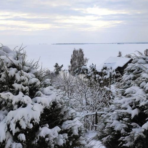 Владимир Андреев: Мороз крепчал день ото дня..