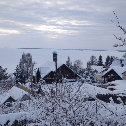 Зимний лес стоит в восторге...