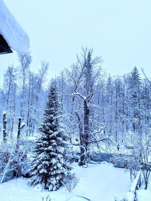 У природы нет плохой погоды, поэтому фотолюбители всегда найдут, что поймать в кадр