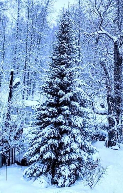 У природы нет плохой погоды, поэтому фотолюбители всегда найдут, что поймать в кадр