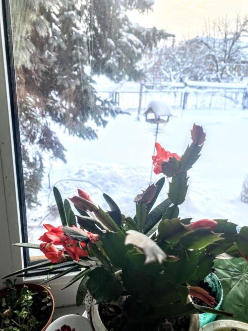 У природы нет плохой погоды, поэтому фотолюбители всегда найдут, что поймать в кадр