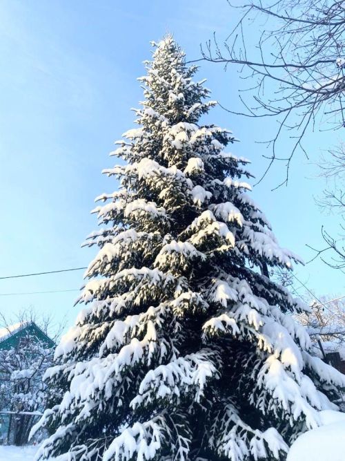 У природы нет плохой погоды, поэтому фотолюбители всегда найдут, что поймать в кадр
