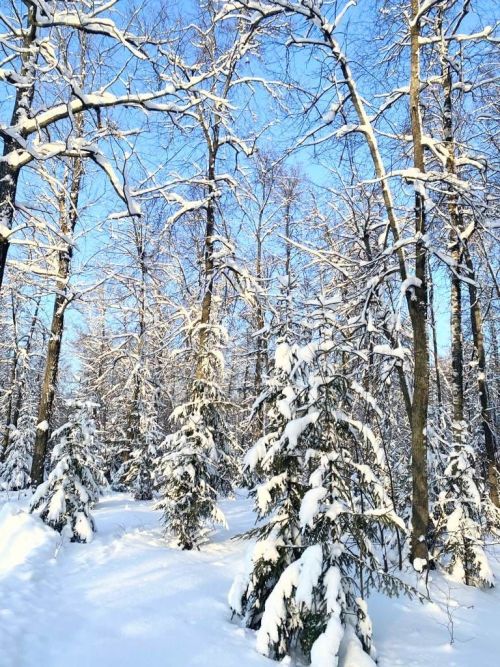 У природы нет плохой погоды, поэтому фотолюбители всегда найдут, что поймать в кадр
