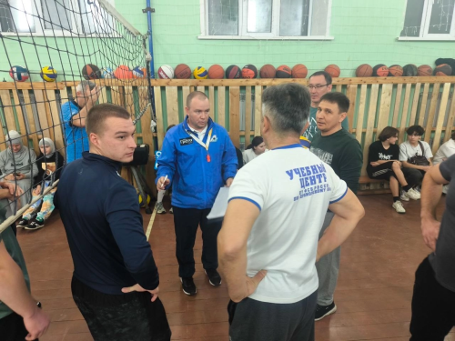 Товарищеский матч по волейболу