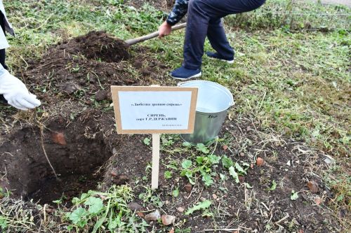 В селе Державино на территории школы посадили сиреневый сад