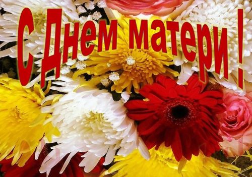 Глава Лаишевского района поздравил матерей