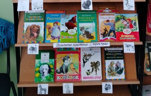 Книжную выставку в Лаишевском районе посвятили Всемирному дню домашних животных