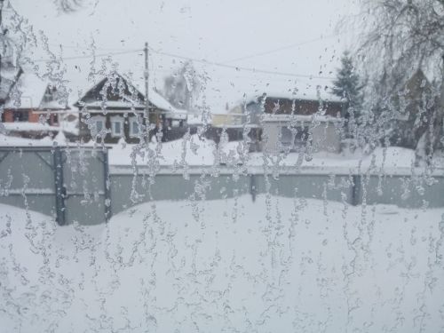 Погода на завтра, 16 декабря: снег и порывистый ветер