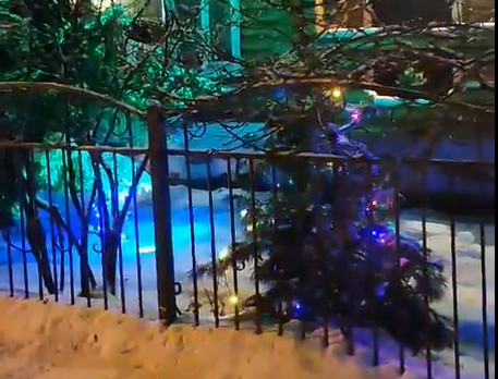 Новогоднее поздравление от Владимира Андреева