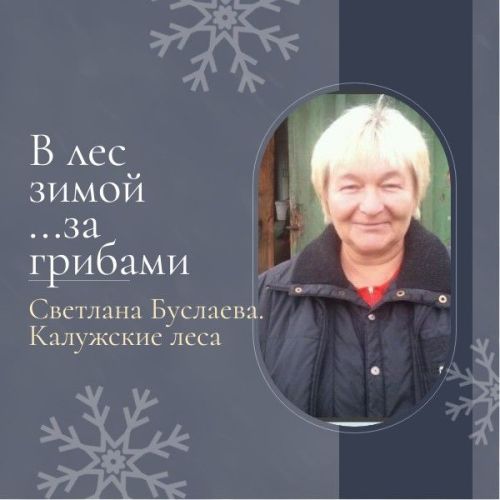 В декабре в лес пошла Светлана за... грибами