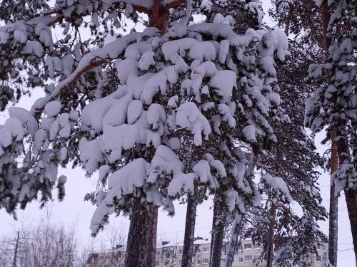 Какую погоду нам ждать завтра, 12 февраля 2024 года