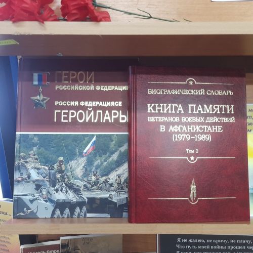 Новую выставку в Лаишевской библиотеке посвятили воинам-интернационалистам