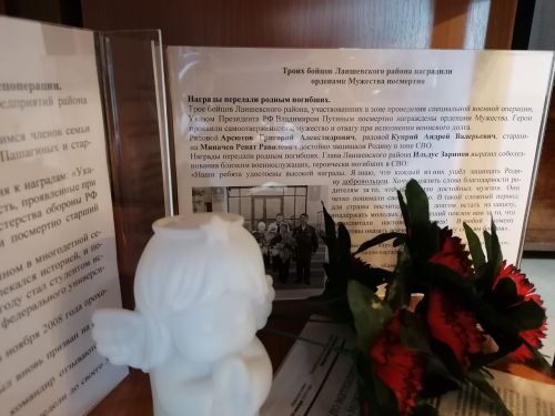 Выставку в Лаишевской библиотеке посвятили участникам СВО