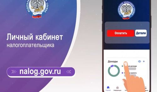 Проверьте наличие задолженности по налогам в ЛКФЛ