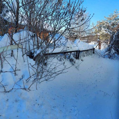 В ночь на среду в Лаишевском районе может похолодать до -25 градусов