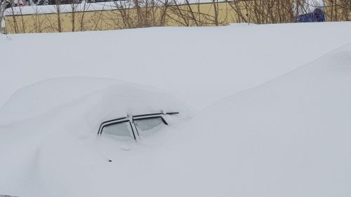В ночь на среду в Лаишевском районе похолодает до -16 градусов