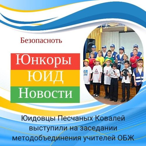 Юидовцы Песчаных Ковалей выступили на заседании МО учителей ОБЖ