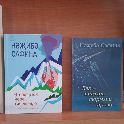 В Лаишевской библиотеке организована книжная мини-выставка «Поэзия даёт нам красоту»