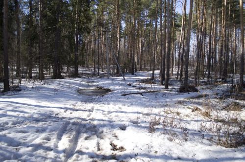 Завтра в Лаишевском районе потеплеет до трех градусов тепла