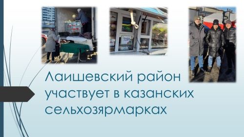 Лаишевский район участвует в казанских сельхозярмарках