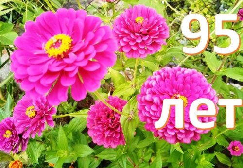 Сегодня 95—летие отмечает жительница села Кирби Муниря Зариповна Булатова
