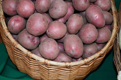 Сайлау көннәрендә ярминкәләрдә 71,7 млн сумлык продукция сатылган