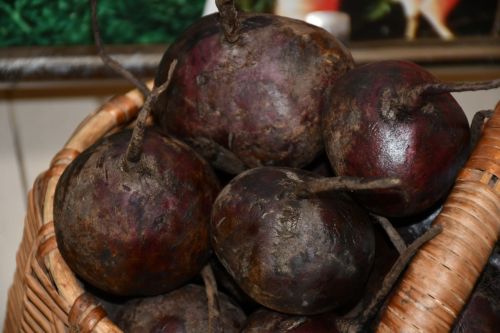 Сайлау көннәрендә ярминкәләрдә 71,7 млн сумлык продукция сатылган