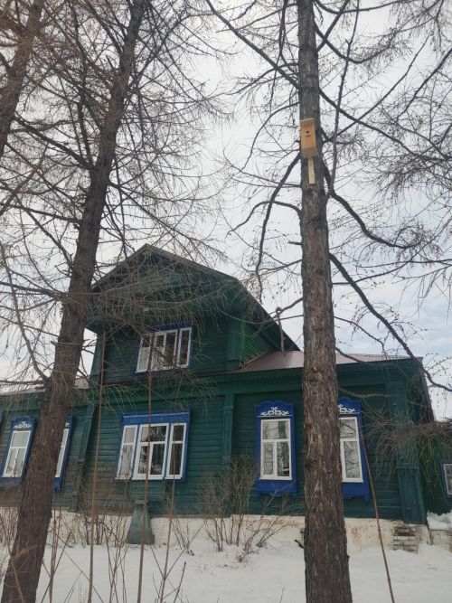 Сотрудники Лаишевского лесничества перед прилетом птиц повесили скворечники