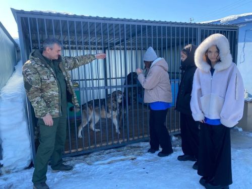 В Лаишевском районе прошла благотворительная акция по сбору корма для животных