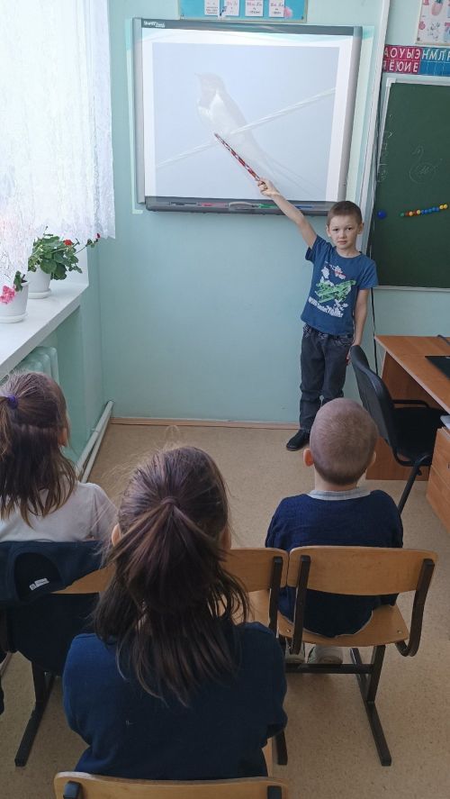 В Лаишевском районе отметили Международный день птиц