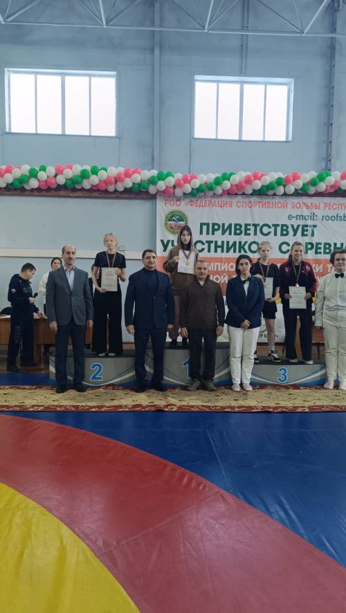 Богатый урожай медалей собрали сумоисты Лаишевского района на первенстве РТ