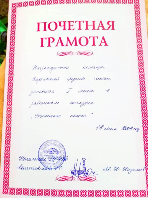 «Мы — история ЮИДа» -  в Кирбинской школе встретились два поколения юидовцев