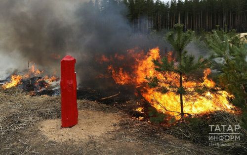С сегодняшнего дня в республике действует особый противопожарный режим