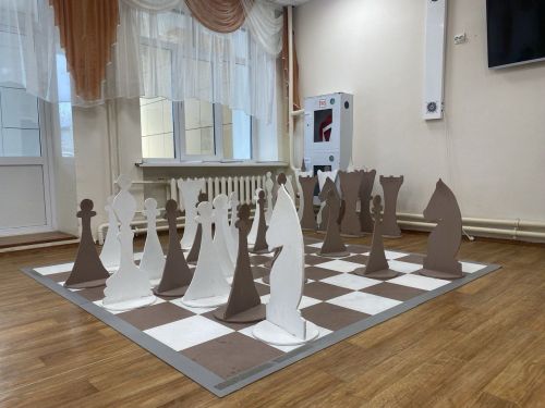 Лаишевскую школу — интернат для детей с ограниченными возможностями посетили педагоги-психологи общеобразовательных учреждений Татарстана