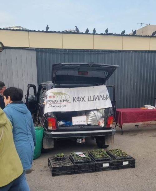 В Казани накануне майских праздников провели сельхозярмарку