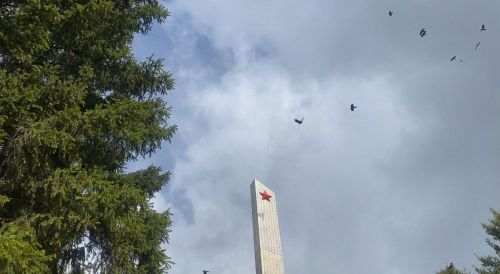Жителей Лаишевского района предупреждают о сильном ветре и мокром снеге