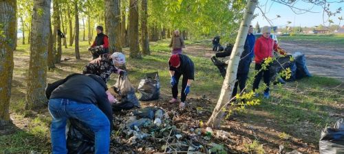 Жители Лаишевского района своими силами очистили зону отдыха