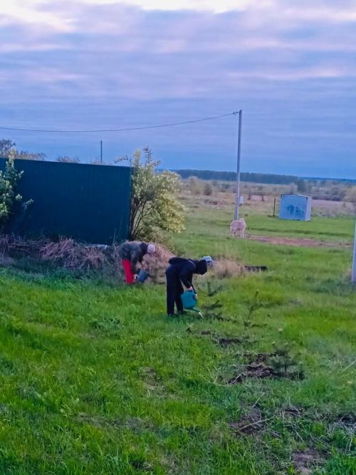 В Лаишевском районе продолжаются субботники