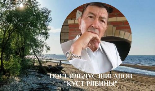 Звучит красивый романс в исполнении Ильдуса Шигапова